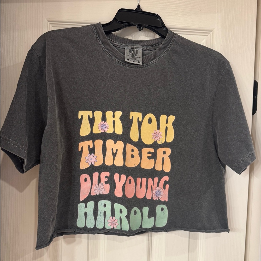 NWOT Kesha Concert Graphic Tee Comfort Colors Retro 70s Custom